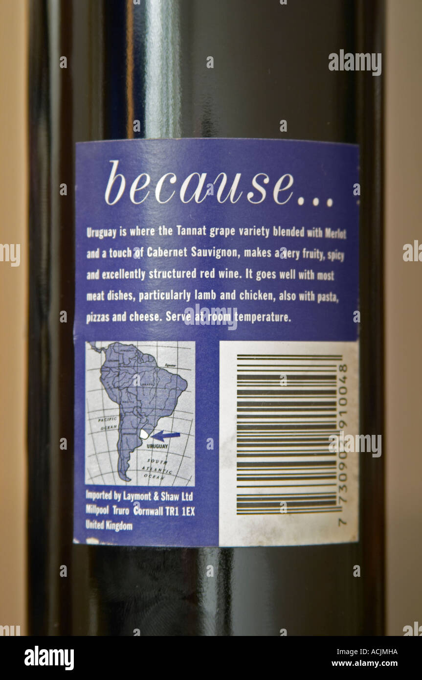 Bottle of Why Try Uruguay ? Tannat Merlot 2000, jocular funny humorous label made on the request of the UK importer. With the explanation on the back label Bodega Carlos Pizzorno Winery, Canelon Chico, Canelones, Uruguay, South America Stock Photo