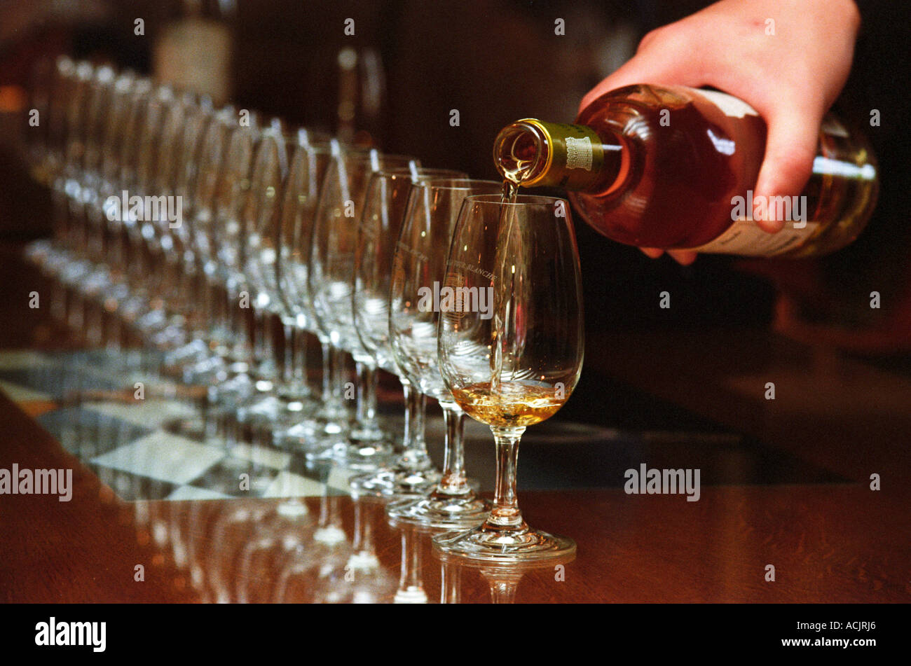 A long row of wine tasting glasses being filled with sauternes wine on a wooden table with a hand holding the bottle and pouring   at harvest time,  Chateau La Tour Blanche, Sauternes, Bordeaux, Aquitaine, Gironde, France, Europe Stock Photo