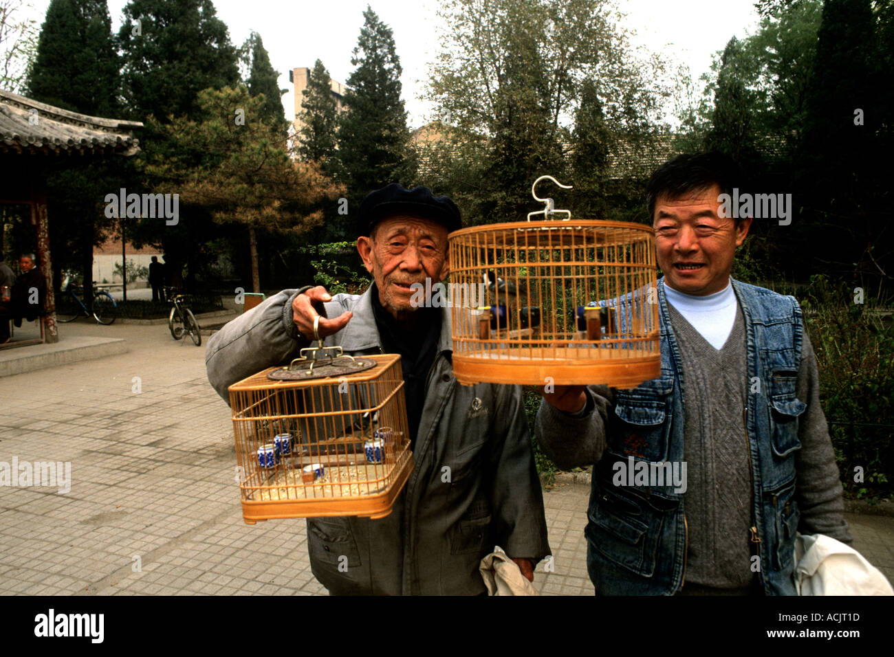 local-chinese-men-with-birds-in-the-park-beijing-china-ACJT1D.jpg
