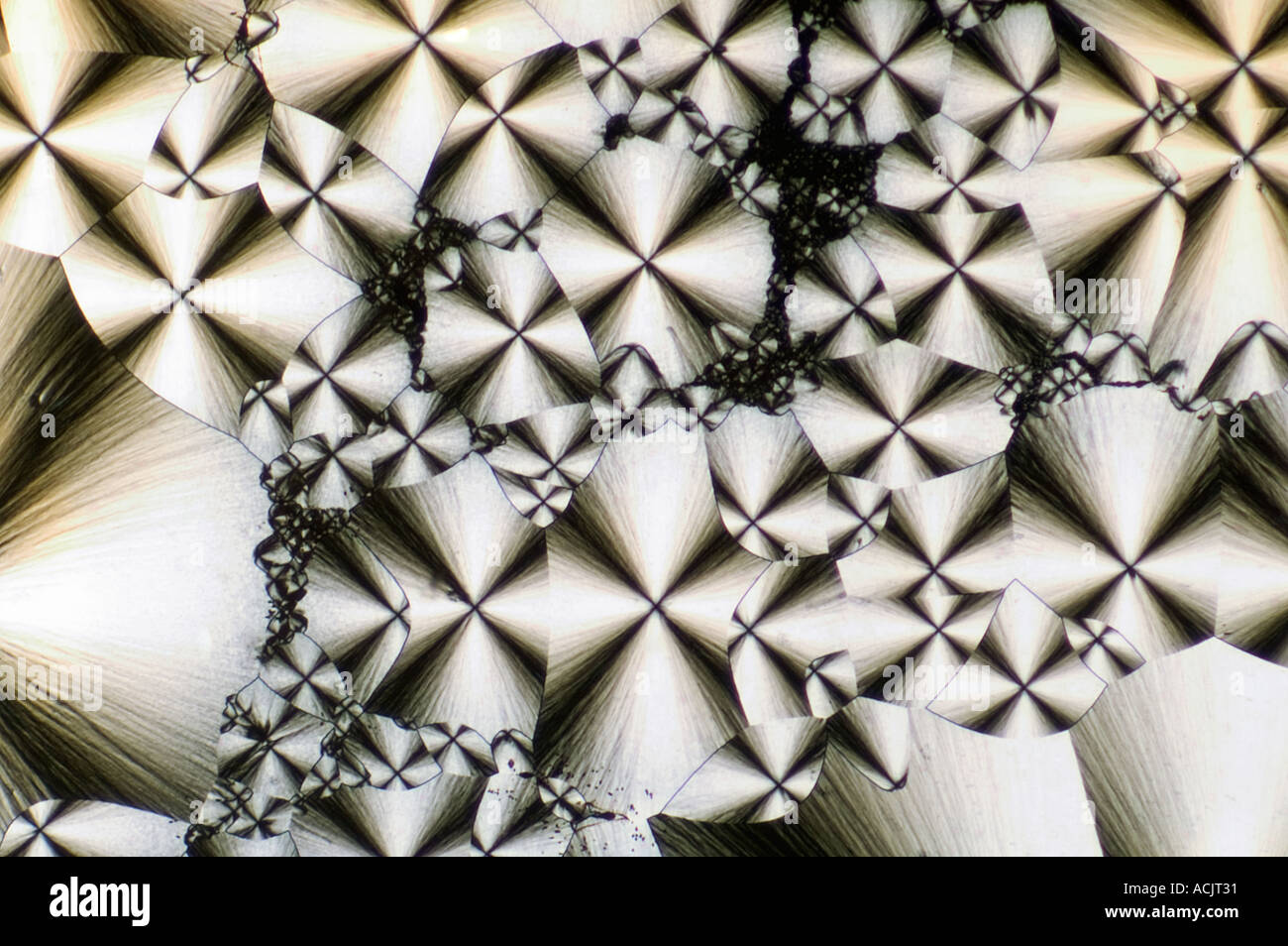 Microscopic image of polarized birefringent crystals./  © Craig M. Eisenberg Stock Photo