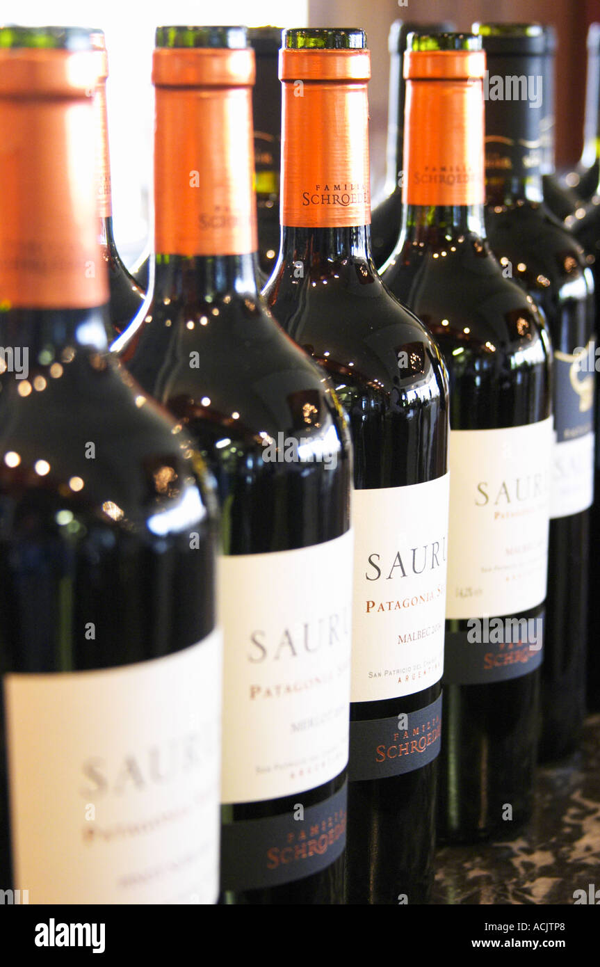 Row of bottles of Saurus Patagonia Bodega Familia Schroeder Winery, also called Saurus, Patagonia, South America Stock Photo - Alamy
