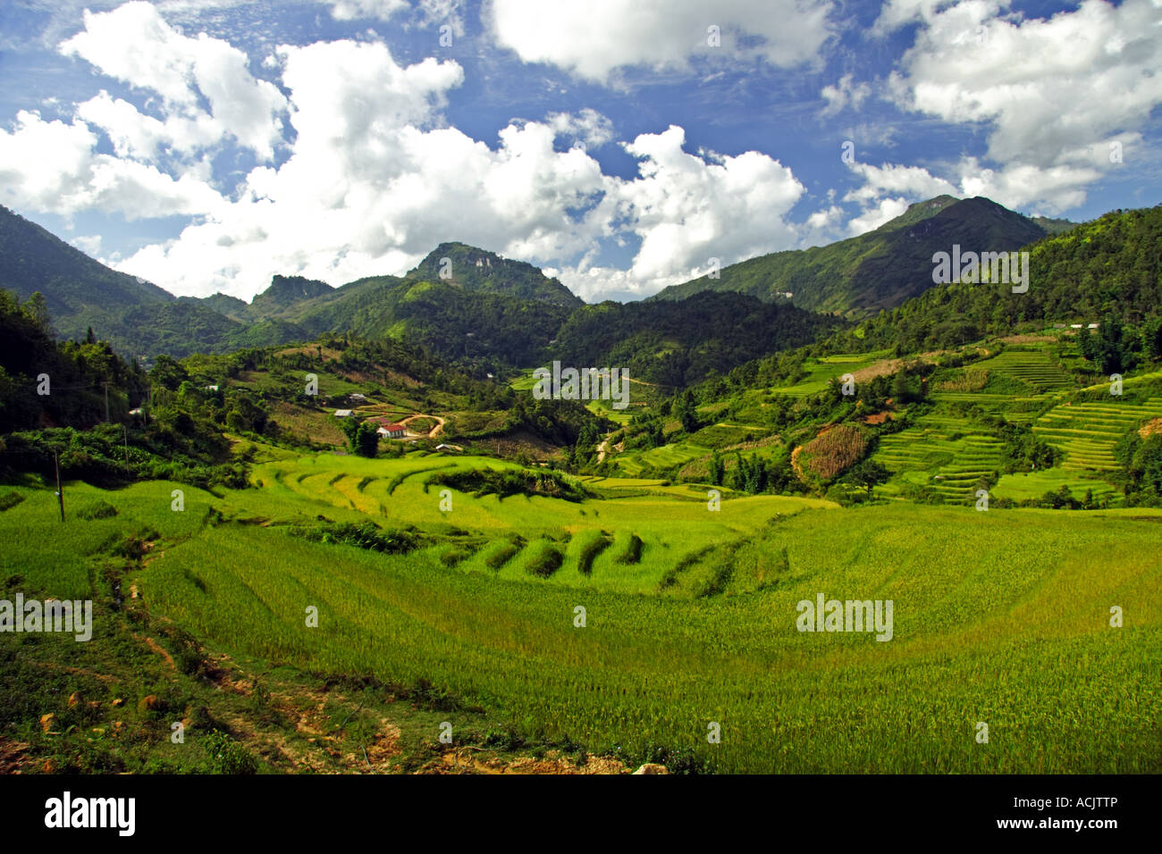 Beautiful scenery rice fields hi-res stock photography and images - Alamy