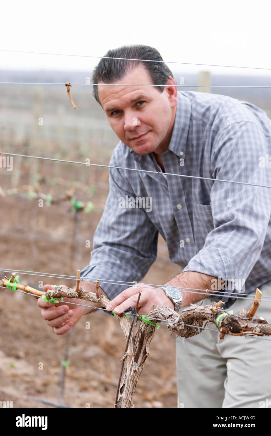In the vineyard Chardonnay vine, Roberto Schroeder, the owner and director. Bodega Familia