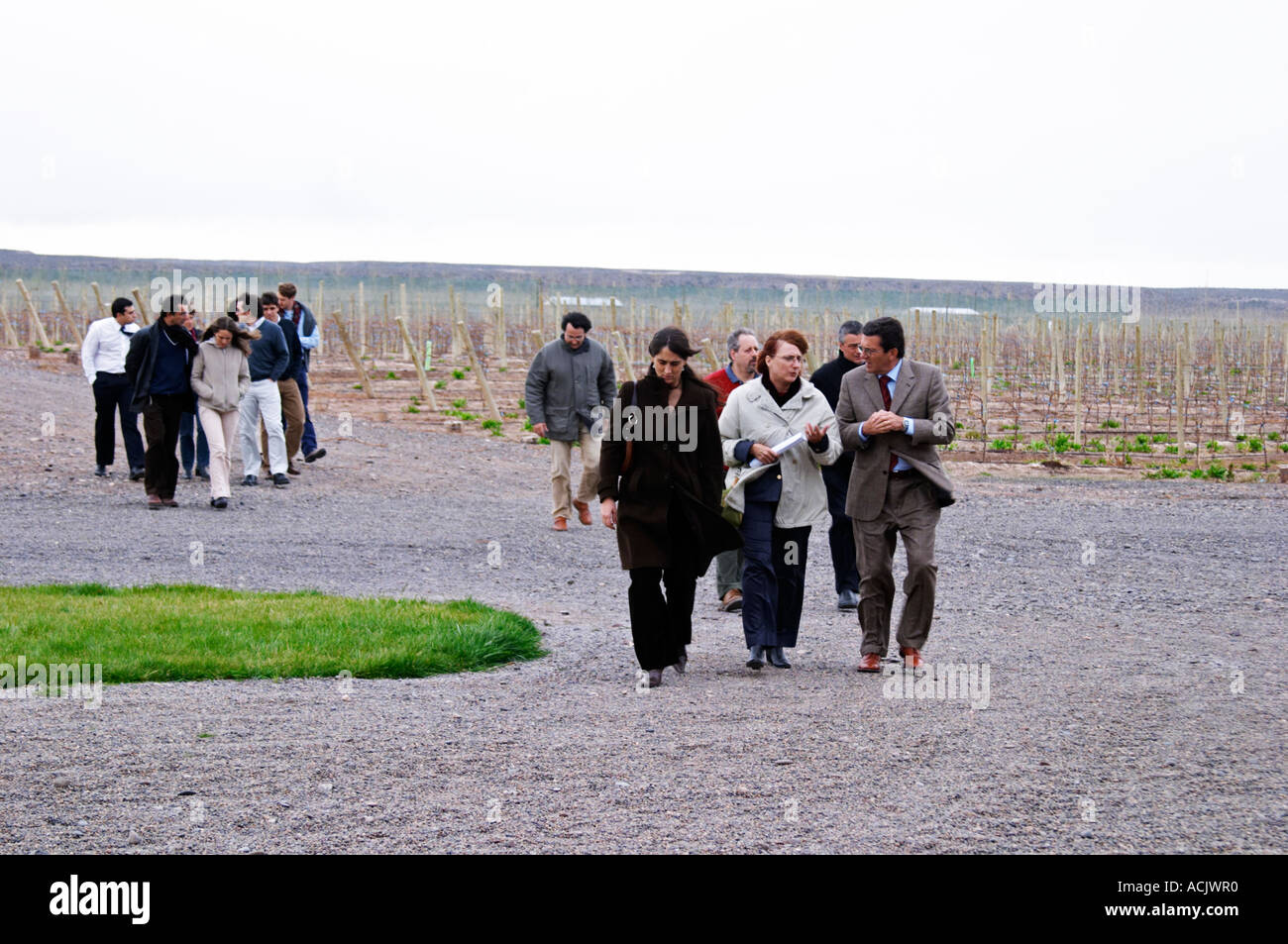Skakač Mentor tempo bodega miami dress code uzbuđenje pečat Pomiriti