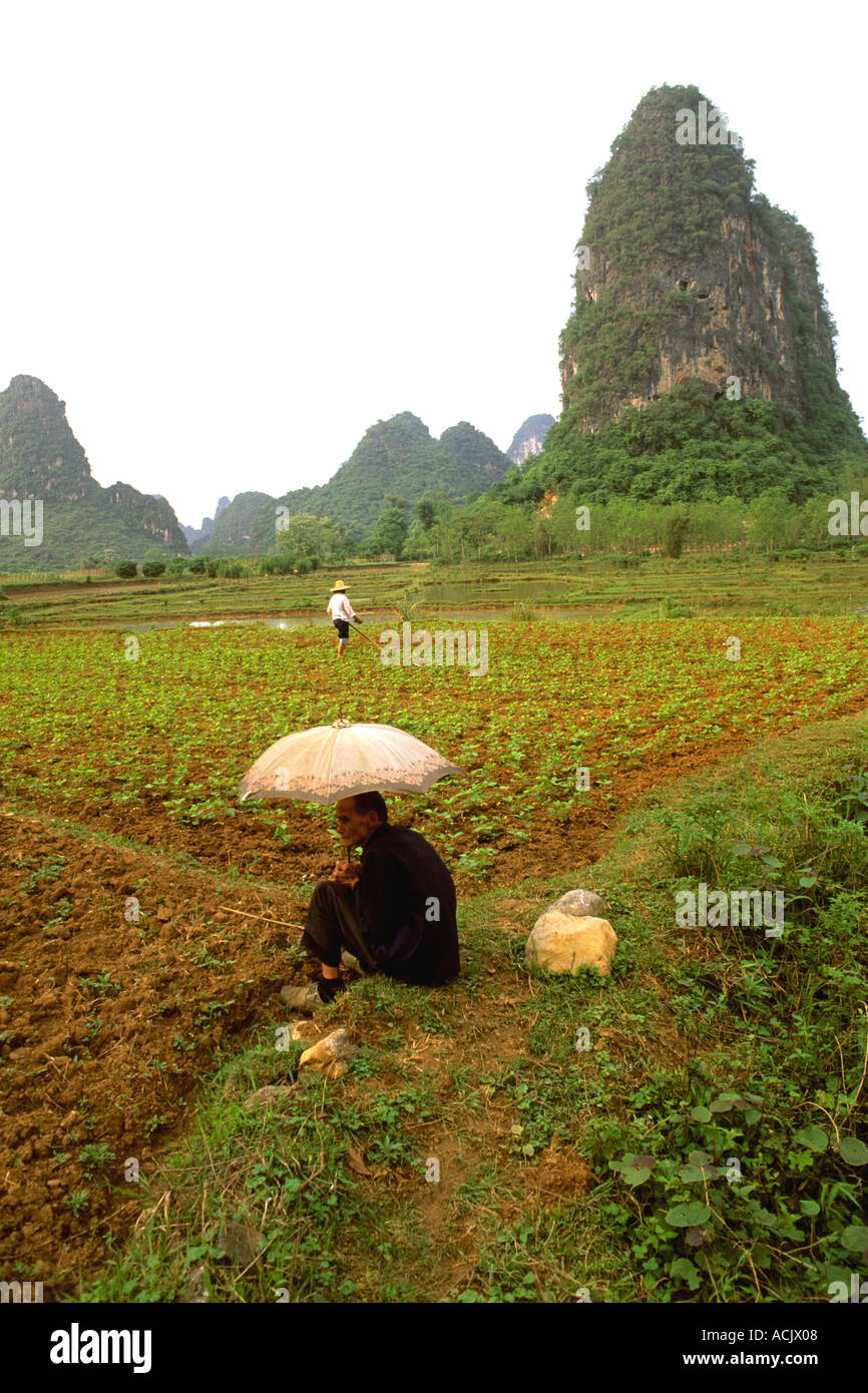Asian rice farmers hi-res stock photography and images - Alamy