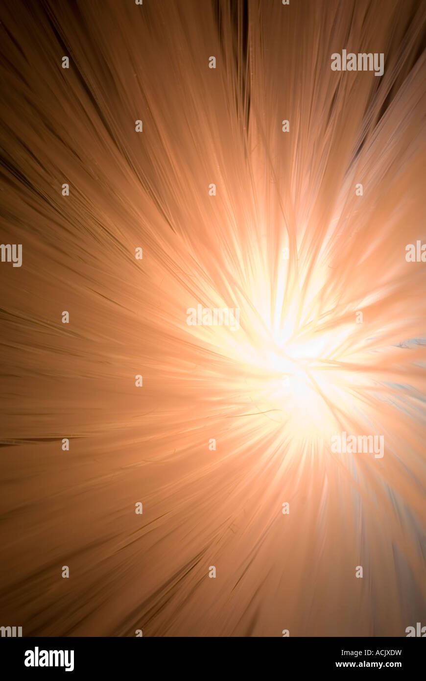 Fibre optic light Stock Photo - Alamy