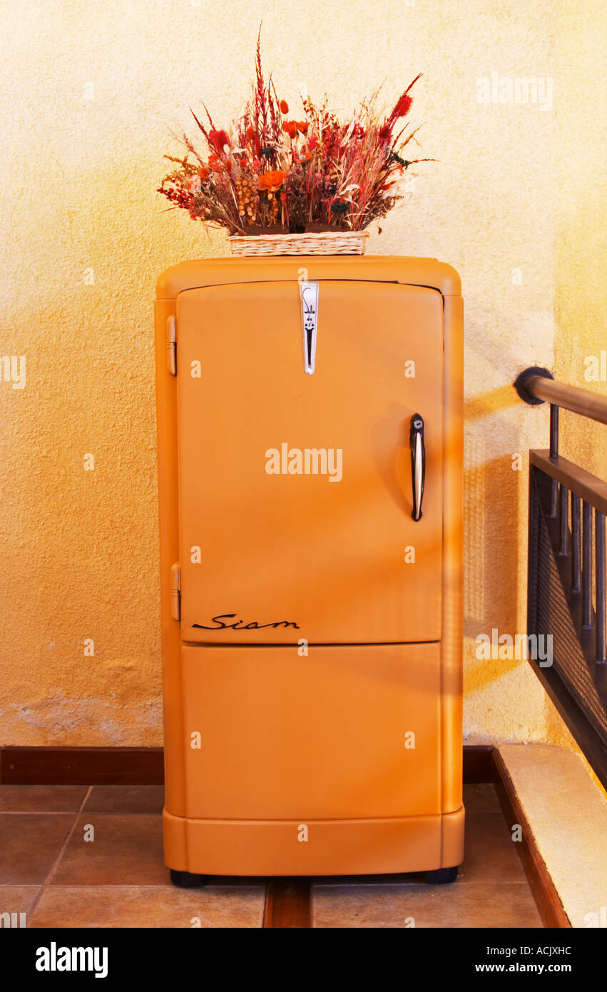 A classic design Siam Sello de Oro Gold Seal refrigerator fridge 1950s 1950 50s 50 design Bodega Del Anelo Winery, also called Finca Roja, Anelo Region, Neuquen, Patagonia, Argentina, South America Stock Photo