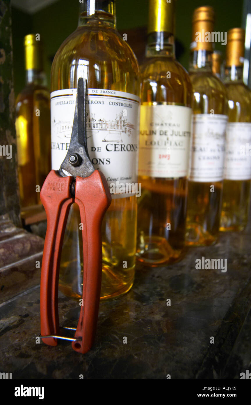 Bottles on a marble shelf above the fire place with sauternes wine: Chatea de Cerons, Chateau Moulin de Juliet, Loupiac and others. A secateur used for harvesting the wine. Chateau de Cerons (Cérons) Sauternes Gironde Aquitaine France Stock Photo