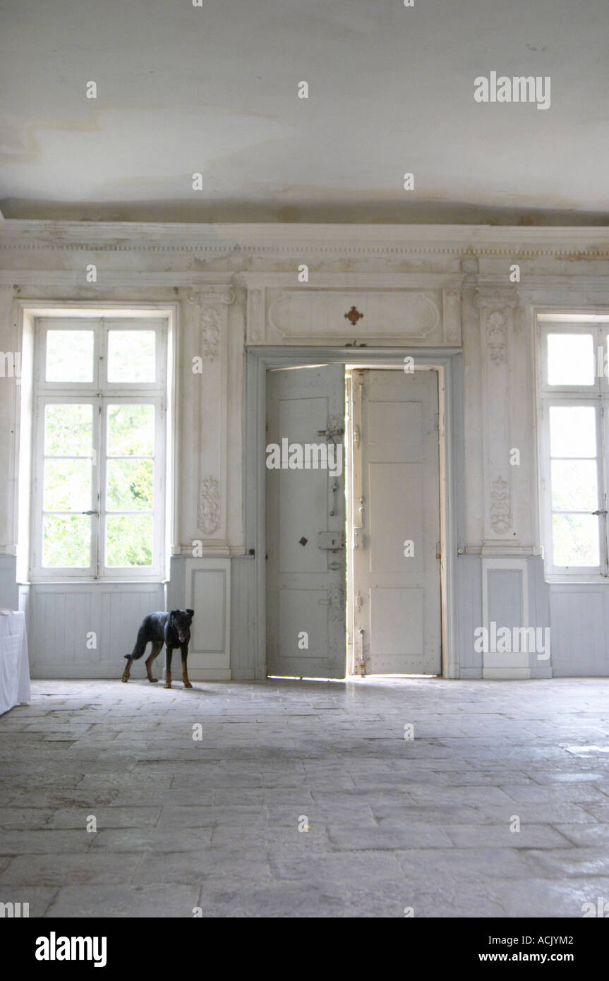 In the stately entrance hall: Stone floor, walls painted white and soft sun light shining in through the windows. Old door slig Stock Photo