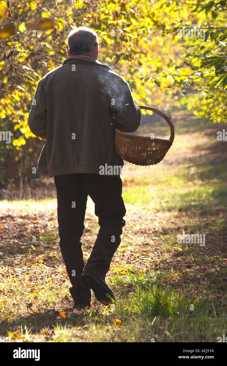 Hugues Martin, the owner of the truffles farm with a wicker basket to collect the truffles, with the truffles hunting sniffing dog called Mocha Truffiere de la Bergerie (Truffière) truffles farm Ste Foy de Longas Dordogne France Stock Photo