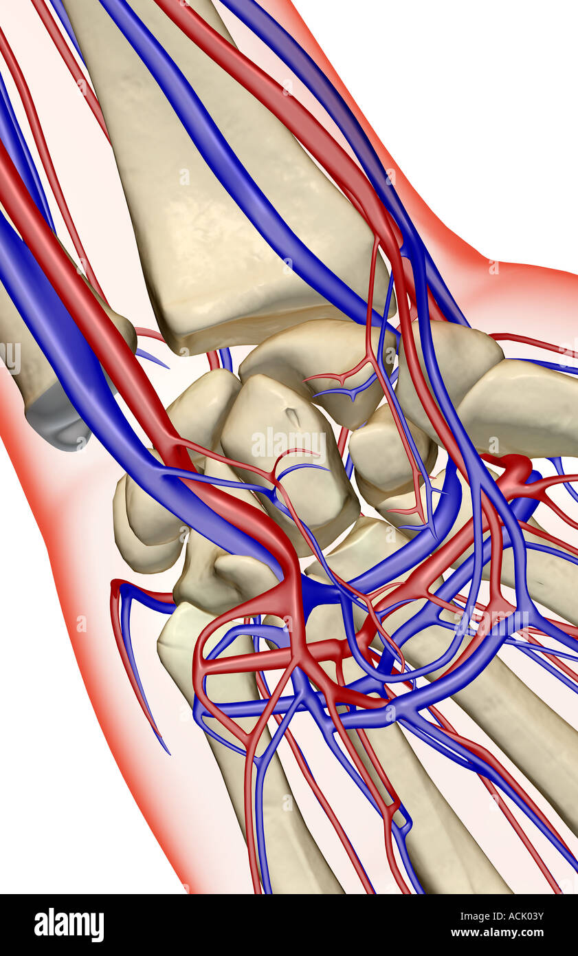 Wrist blood Clearance