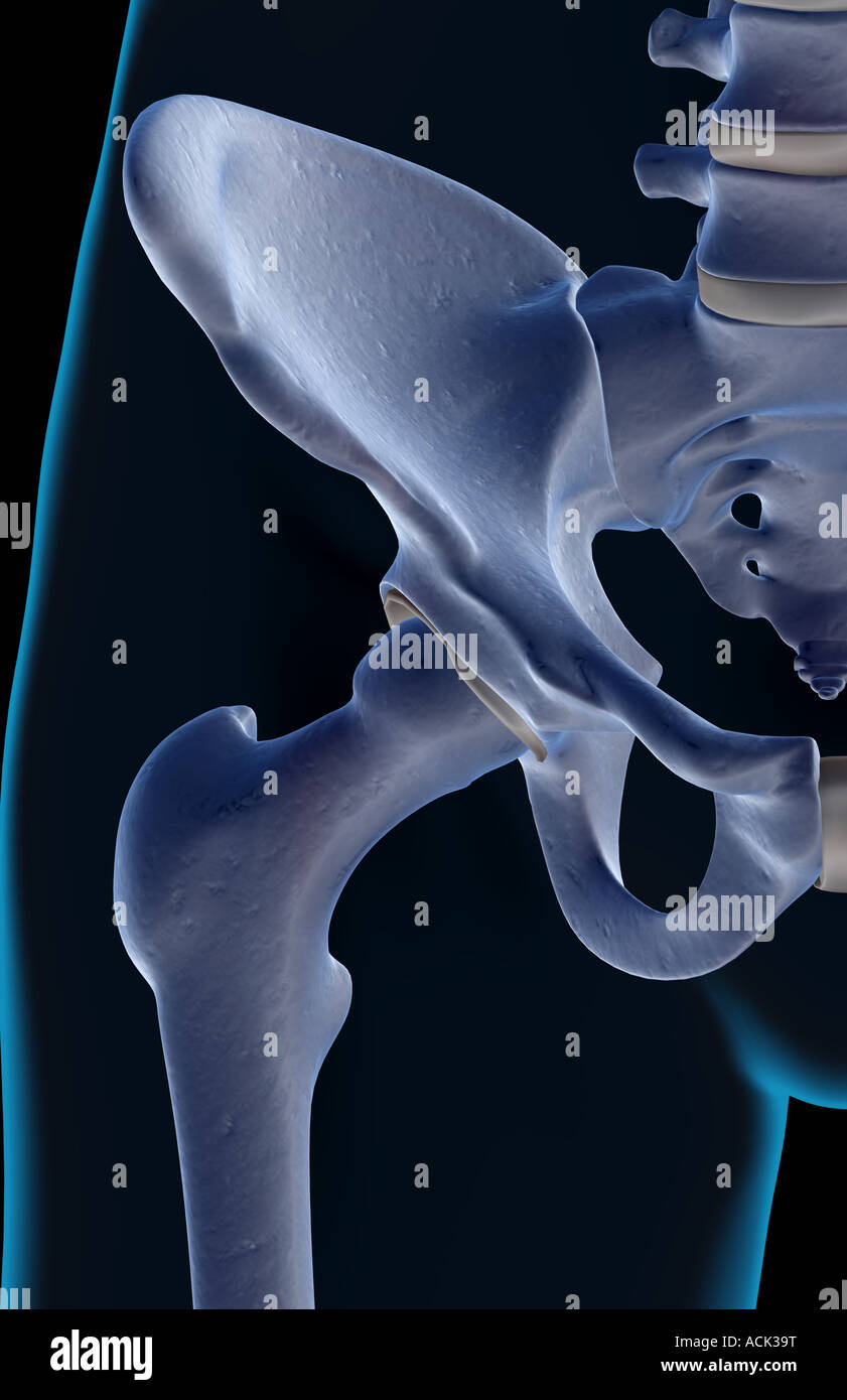 Iliac Crest High Resolution Stock Photography and Images - Alamy