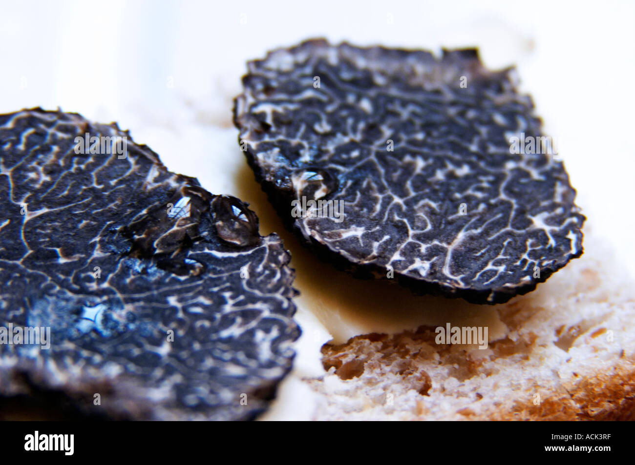 A slice of fresh Perigord truffles on a piece of bread with a drop of