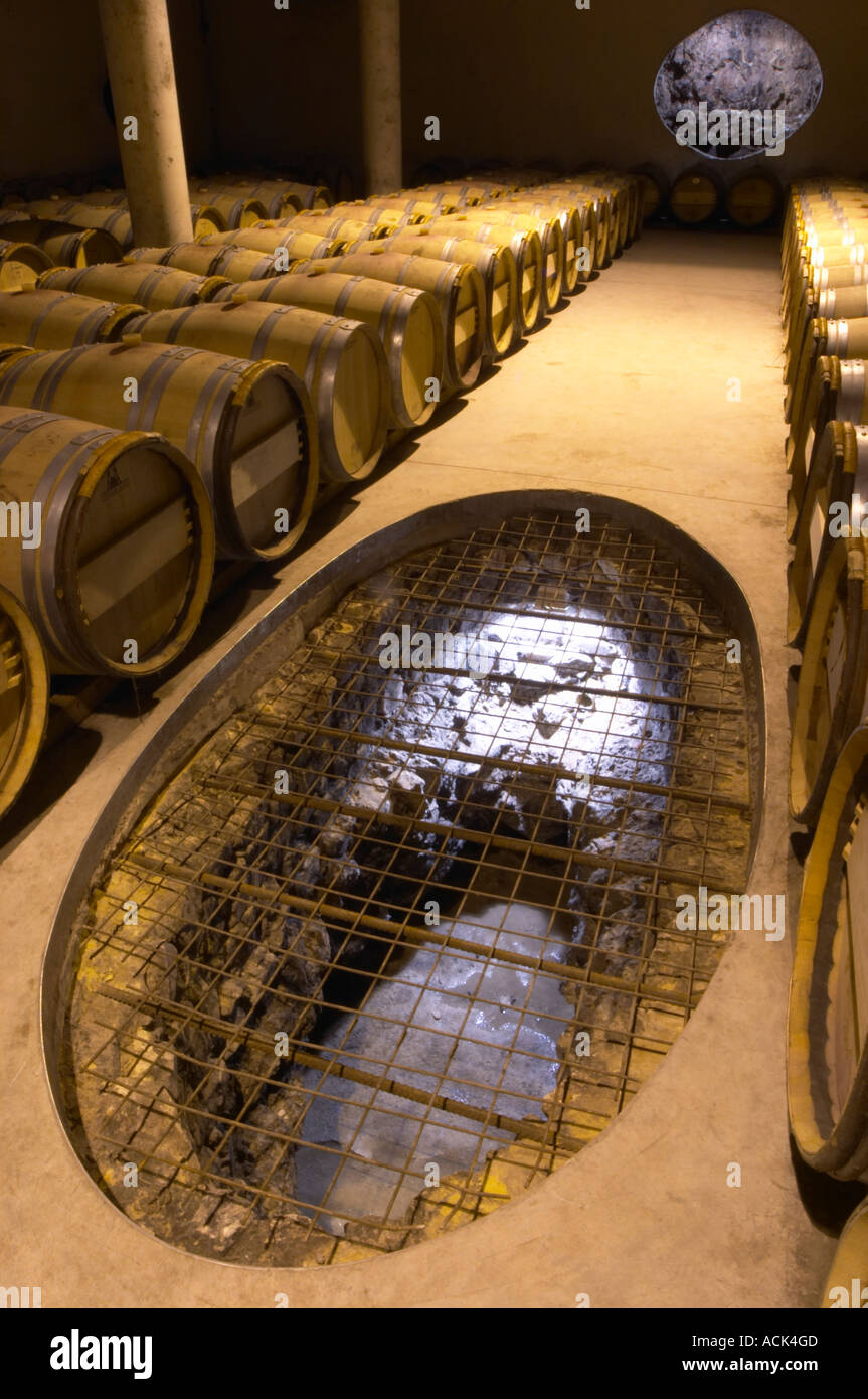 The very dramatic newly built underground barrel aging cellar under the winery, with rows of barrels. In the walls and in the floor there are oval openings that show the soil structure and the underground river that flows underneath the winery Domaine Vignoble des Verdots Conne de Labarde Bergerac Dordogne France Stock Photo
