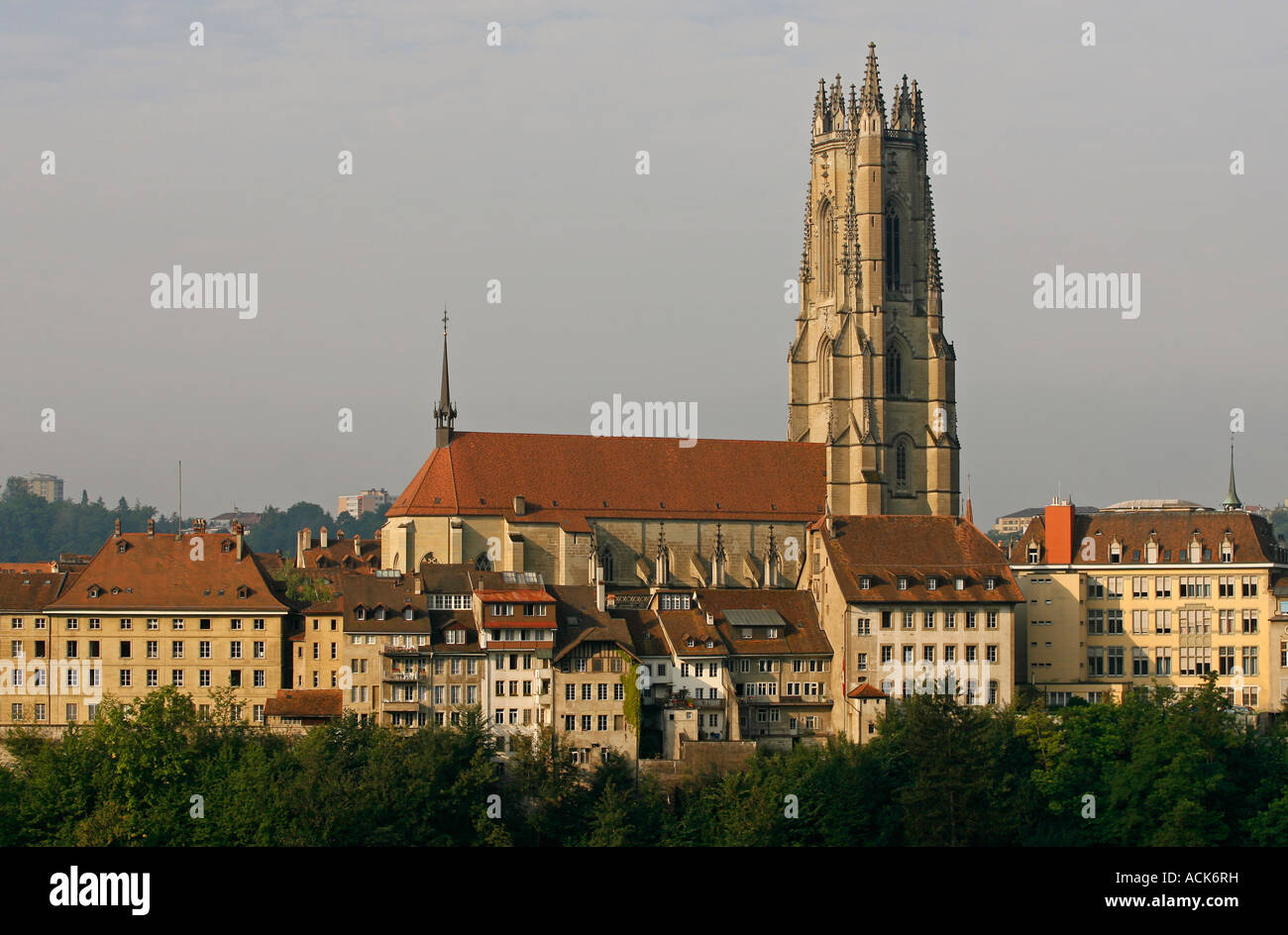 Cathedrale St Nicolas Fribourg Hi res Stock Photography And Images Alamy cathedrale-st-nicolas-fribourg-hi-res-stock-photography-and-images-alamy