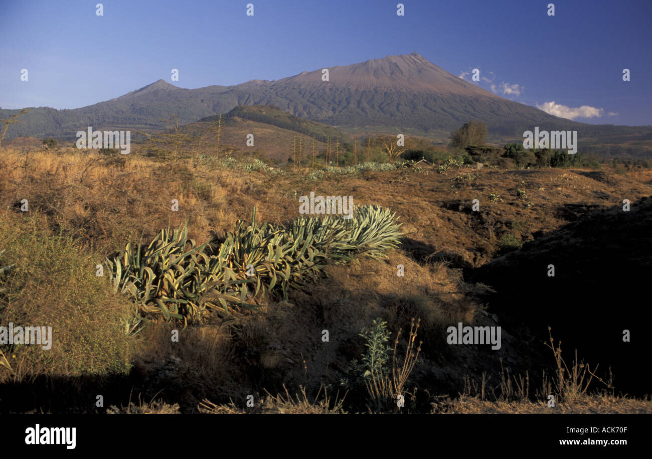 Mount Meru Arusha NP Tanzania Stock Photo Alamy