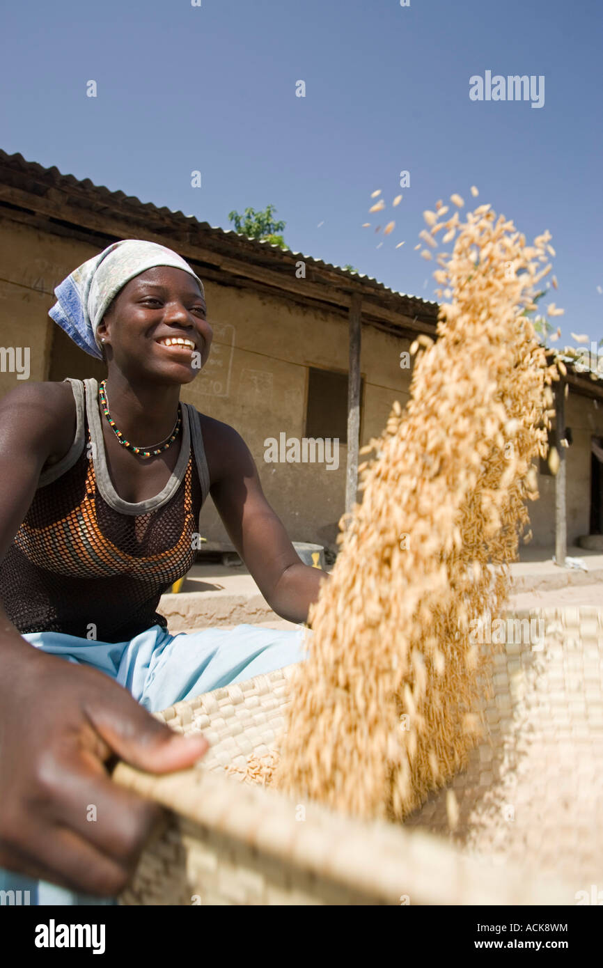 Woman uses traditional winnowing hires stock photography and images
