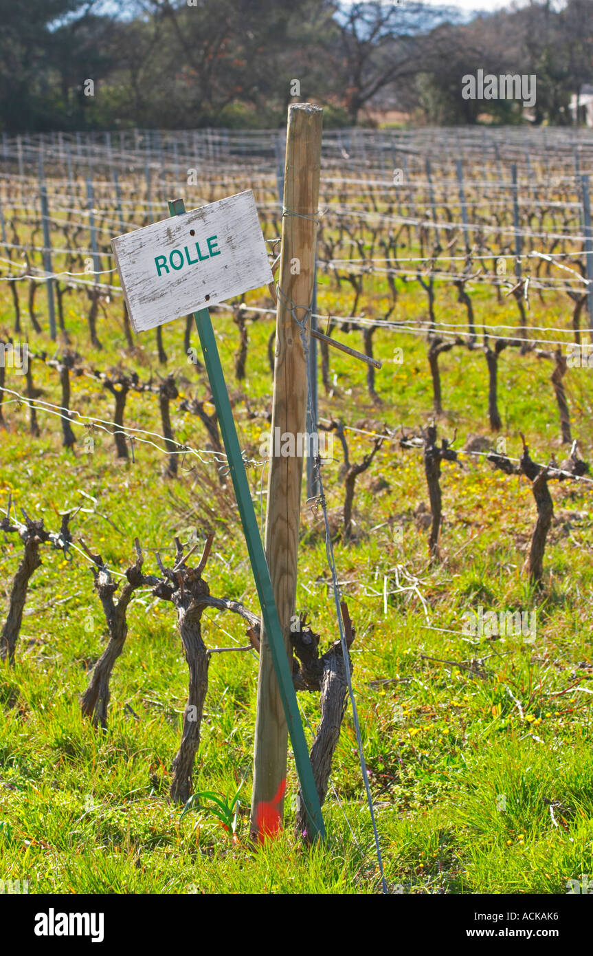 Sun bleached sign in the vineyard saying Rolle (Vermentino) Château Barbanau and Clos Val-Bruyere Cassis Cote d’Azur Var France Stock Photo