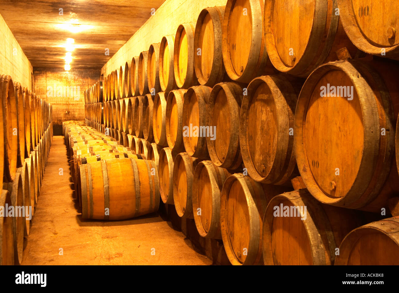 Wine aging in oak barrels in the barrique aging cellar Domaine de