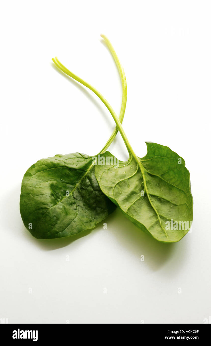 Popeye icon hires stock photography and images Alamy