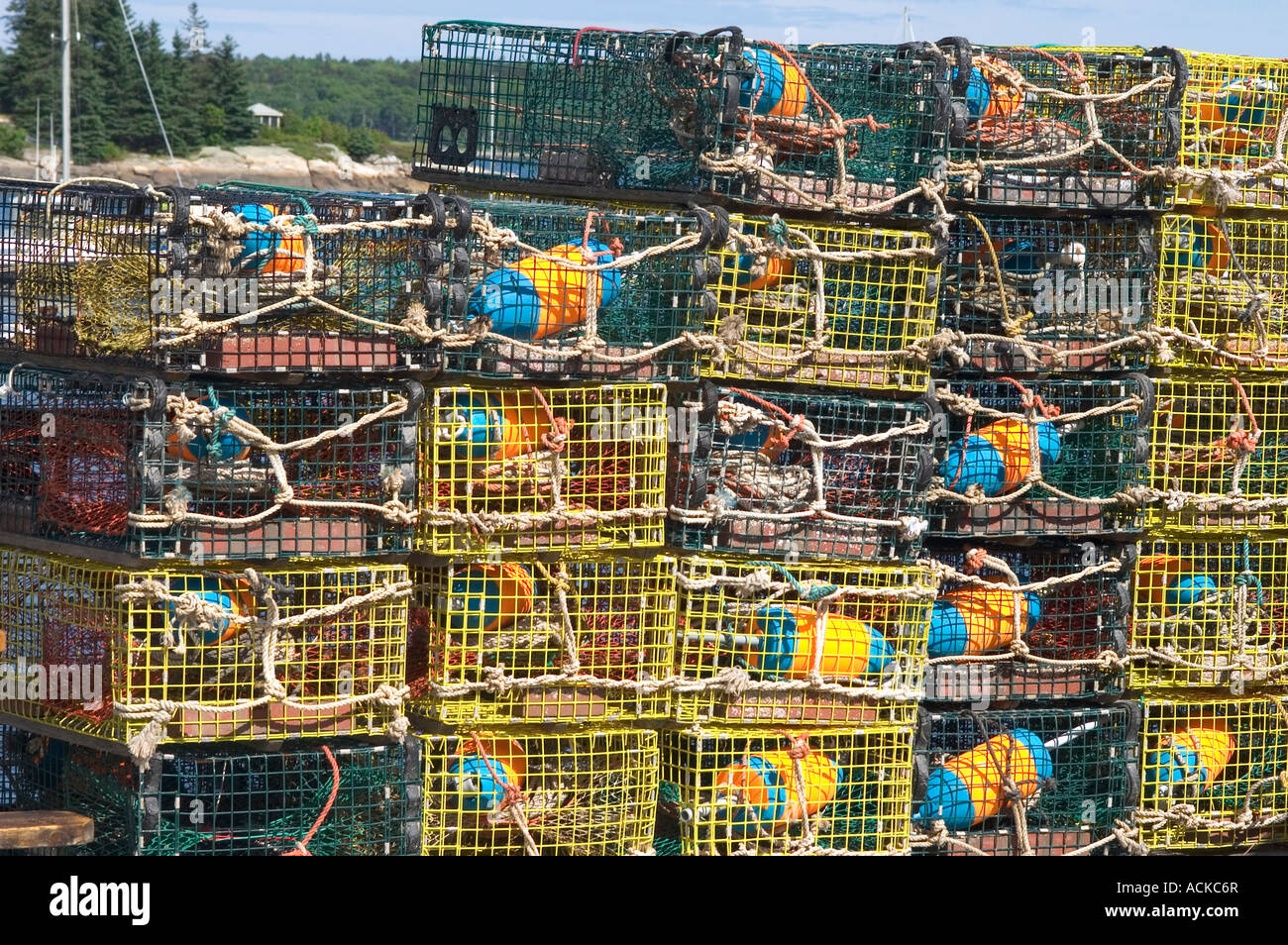 Lobster trap, Maine, USA Stock Photo Alamy