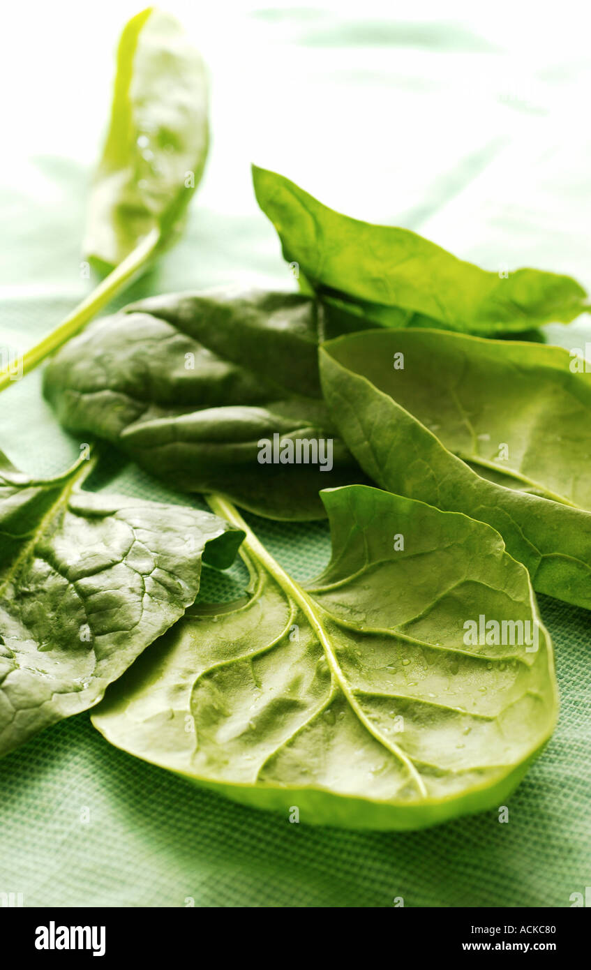 spinach leaves Stock Photo