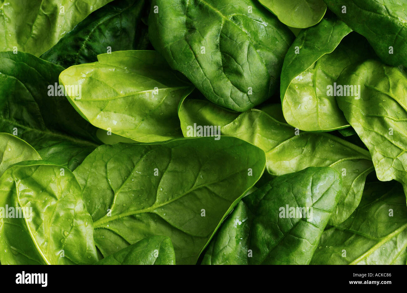 spinach leaves background Stock Photo - Alamy