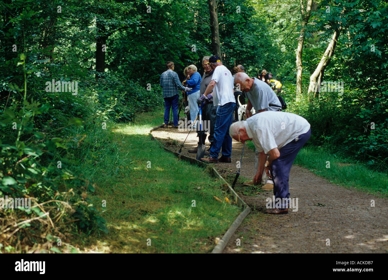 Conservation volunteers helping to clear the all ability trail at Wendover Woods Stock Photo