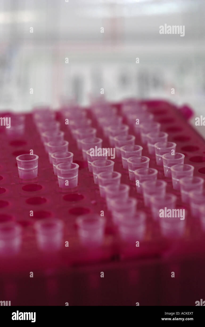 Test tube rack in a Microbiology lab Stock Photo Alamy