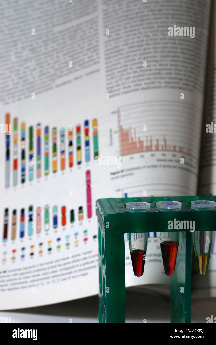 DNA samples in a test tube rack with graphics charts reference in the background Stock Photo