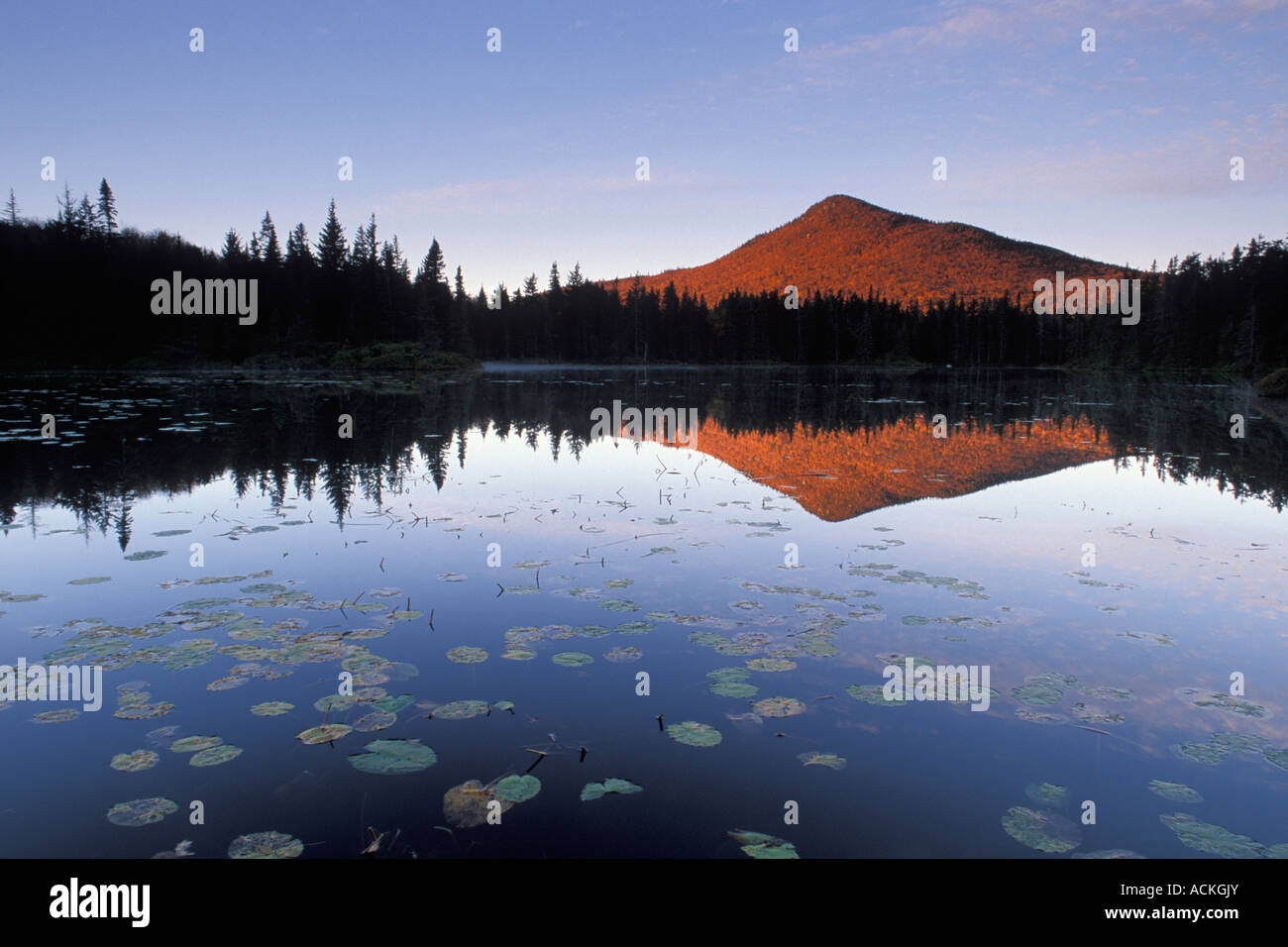 The Horn peak reflected in Unknown Pond, White Mountain National Forest