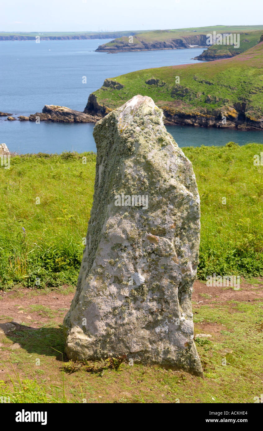 Bronze Age standing stone called the Harold Stone on Skomer Island Pembrokeshire Wales UK Stock Photo