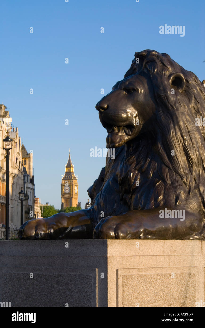 Trafalgar square london lion hi-res stock photography and images - Alamy