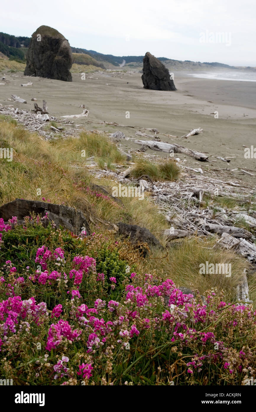 Meyers Creek Beach, Pistol River State Park, Oregon Stock Photo Alamy