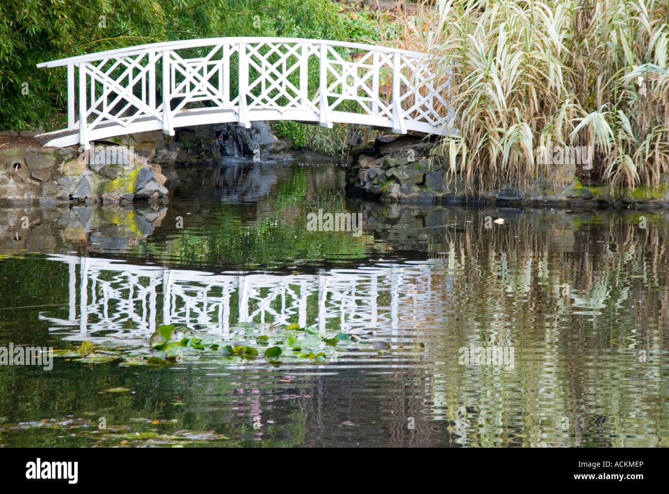 An arched wooden bridge over a water feature in the Tasmanian Royal Botanical Gardens Stock Photo