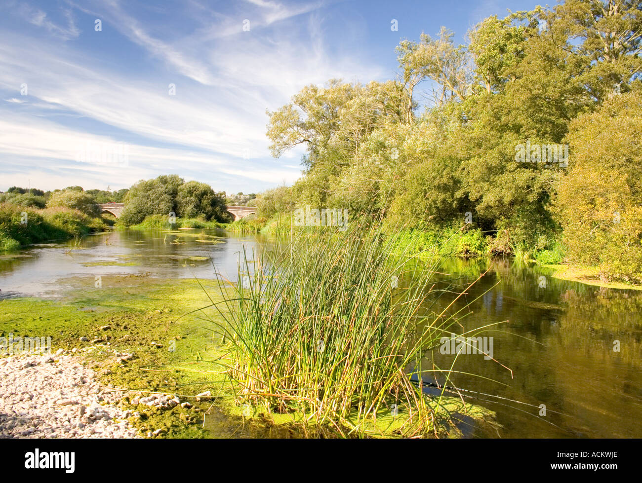 River Stour Landscape Wimborne Dorset 20050907 005116 Stock Photo Alamy