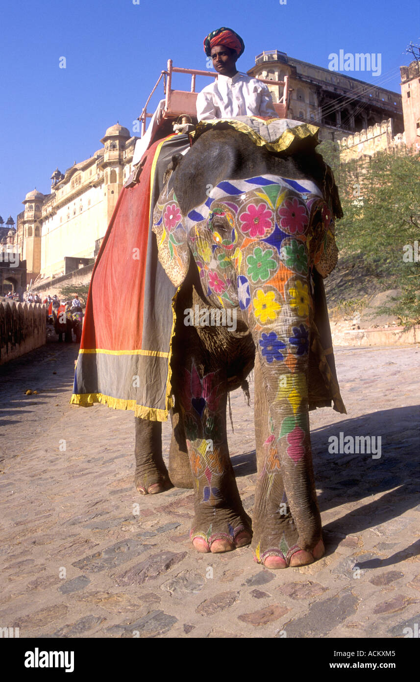 Splendid Elephant descending after carrying tourists up the ramp to Amber Fort near Jaipur Rajasthan India Stock Photo