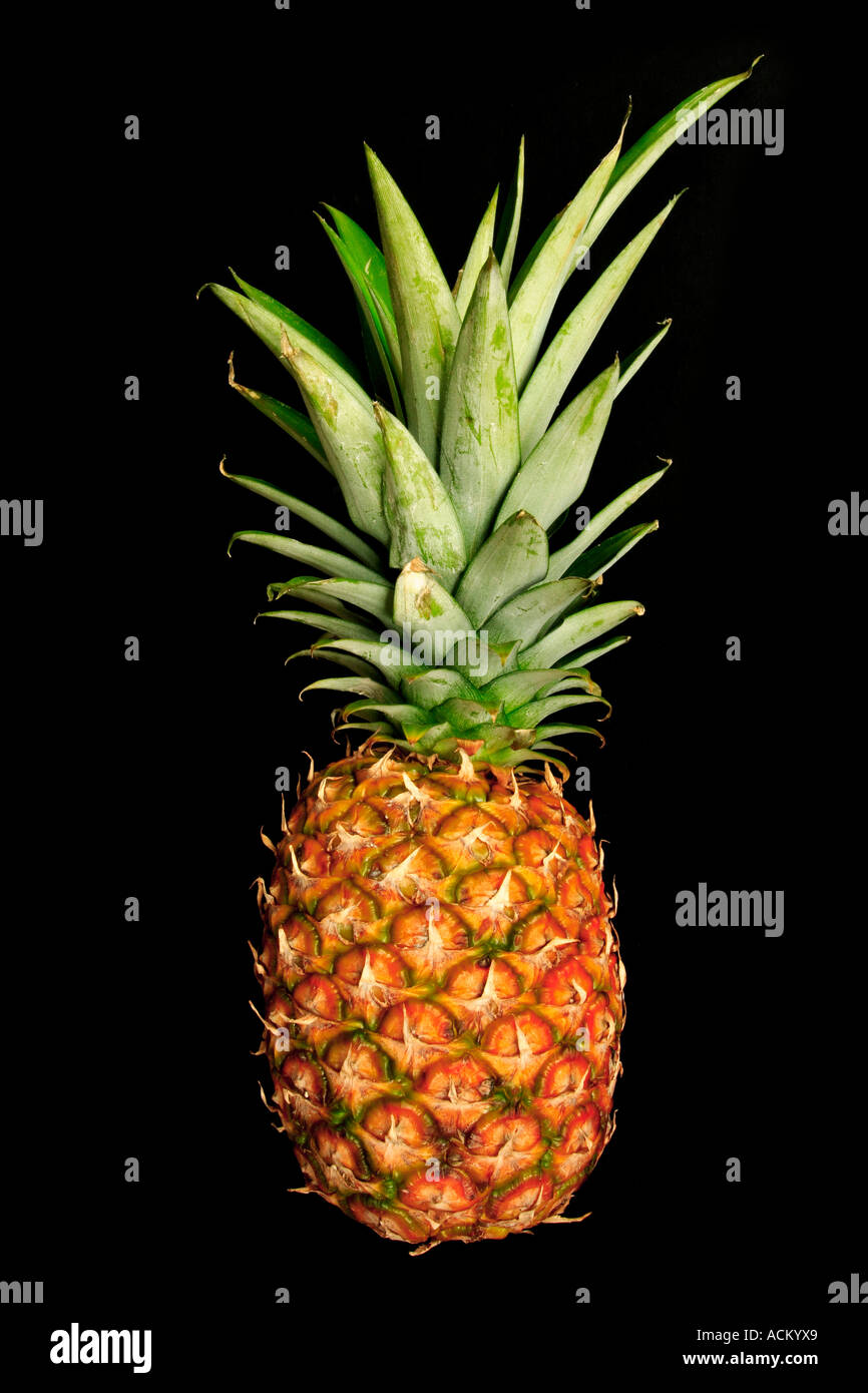 Pineapple isolated against a black background Stock Photo