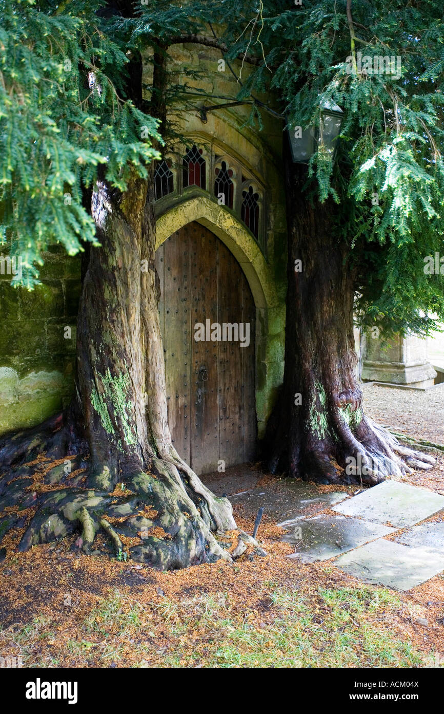 Two yew trees that surround St Edward's Church north door at Stow on the Wold , Cotswolds , England Stock Photo