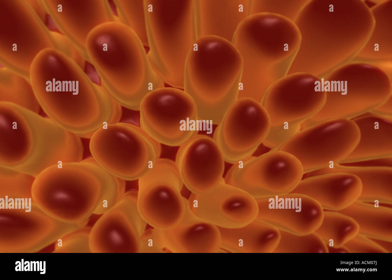 Microvilli High Resolution Stock Photography and Images - Alamy