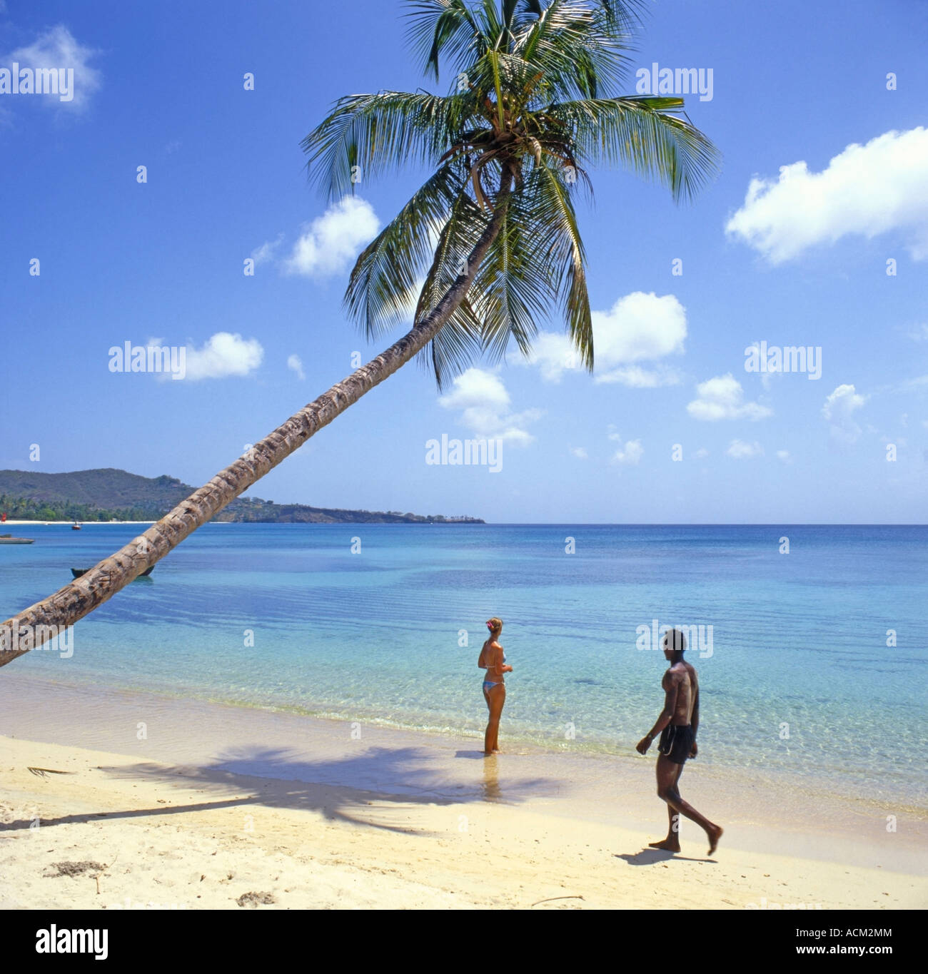 Girl standing in sea under a palm tree on Grand Anse Beach, Grenada, West Indies with a local man passing by. Stock Photo