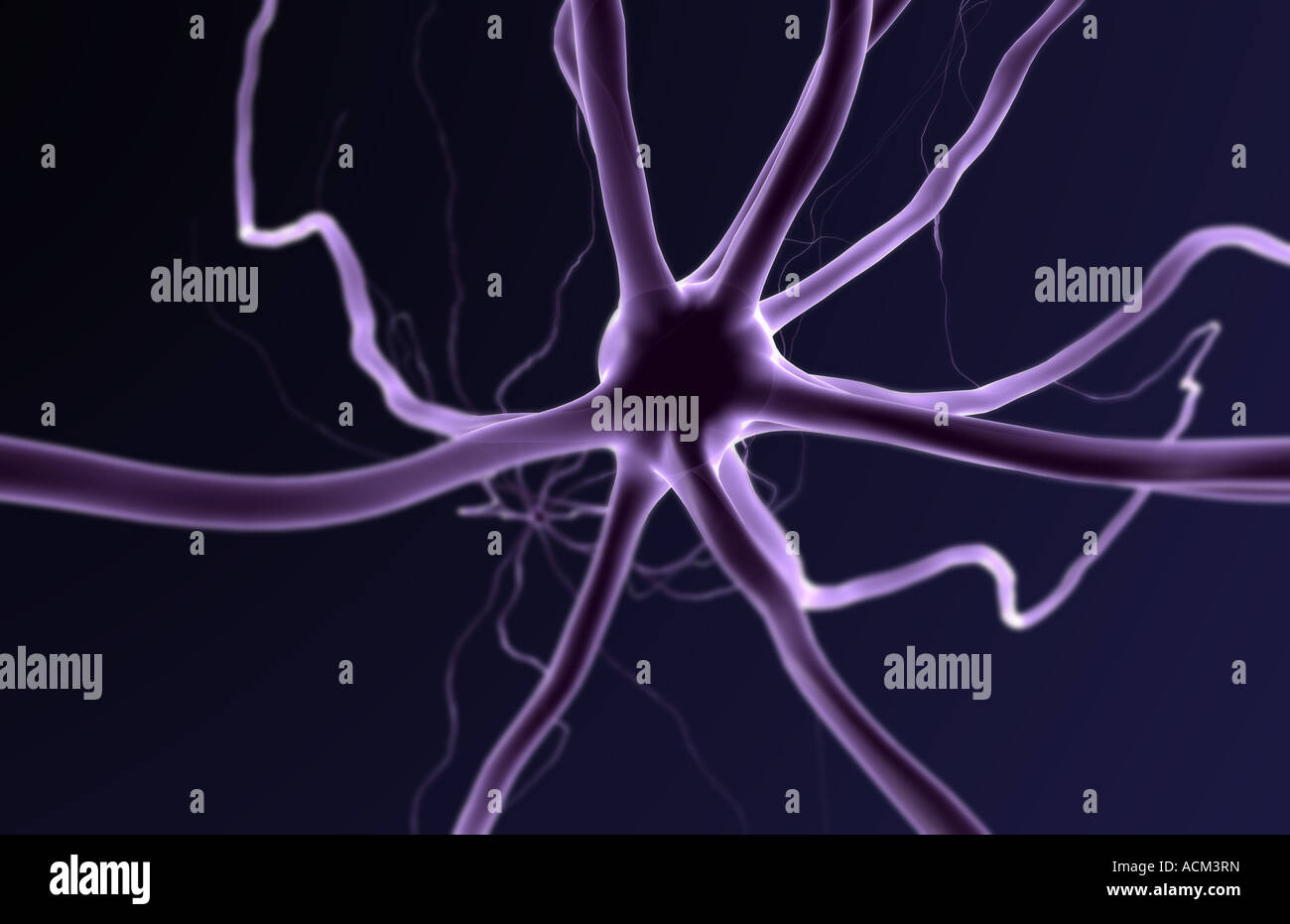 Close up human nerve cells hi-res stock photography and images - Alamy