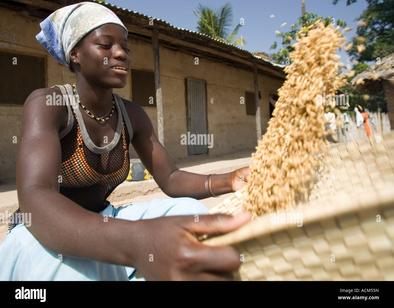 Woman uses traditional winnowing hires stock photography and images