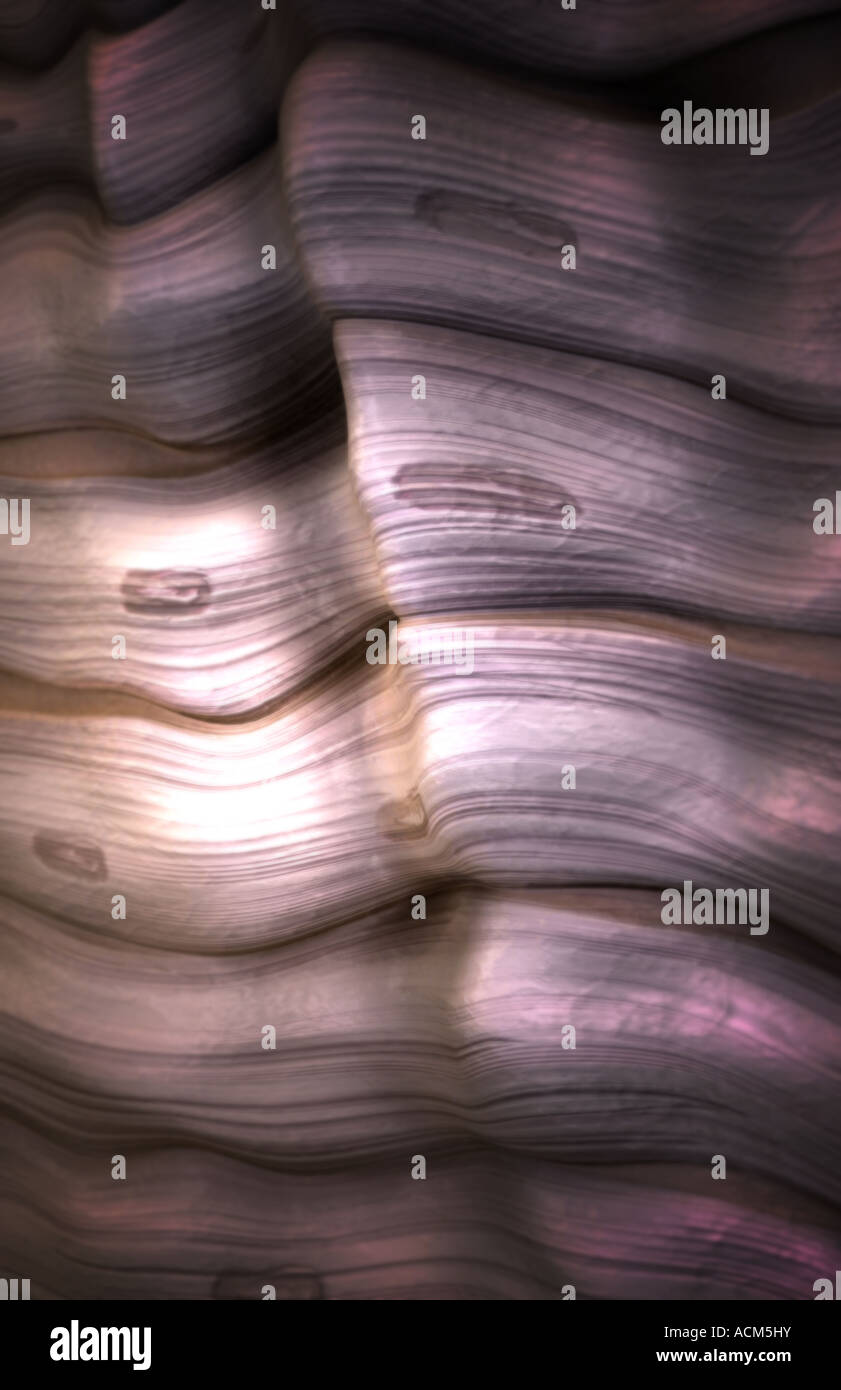 Fibrous connective tissue hi-res stock photography and images - Alamy