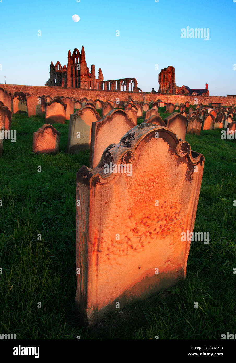 Whitby Abbey from St Mary s Chuch Yard Whitby North Yorkshire England