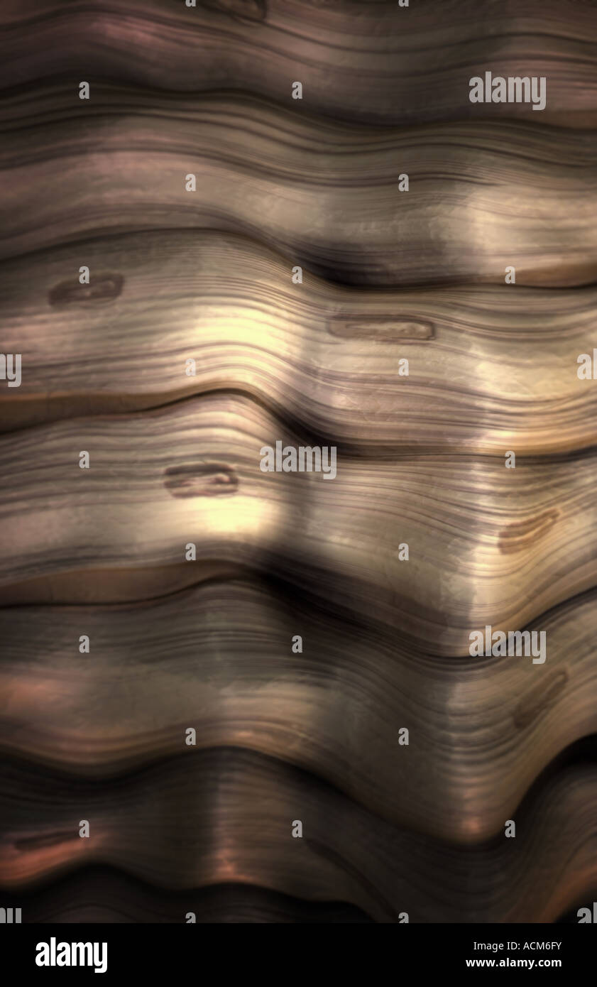 Fibrous connective tissue hi-res stock photography and images - Alamy