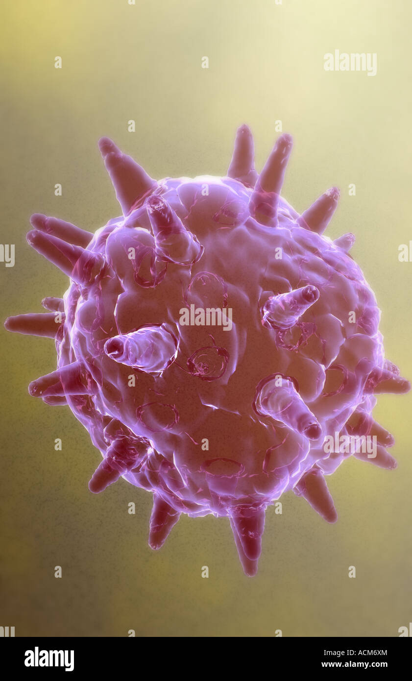 Herpes virus Stock Photo Alamy