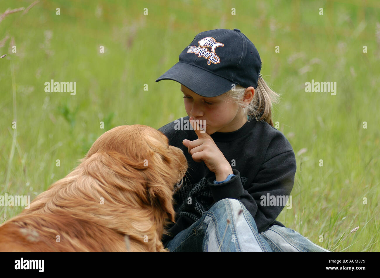 girl sitting with Golden Retriever dog in grass Stock Photo - Alamy