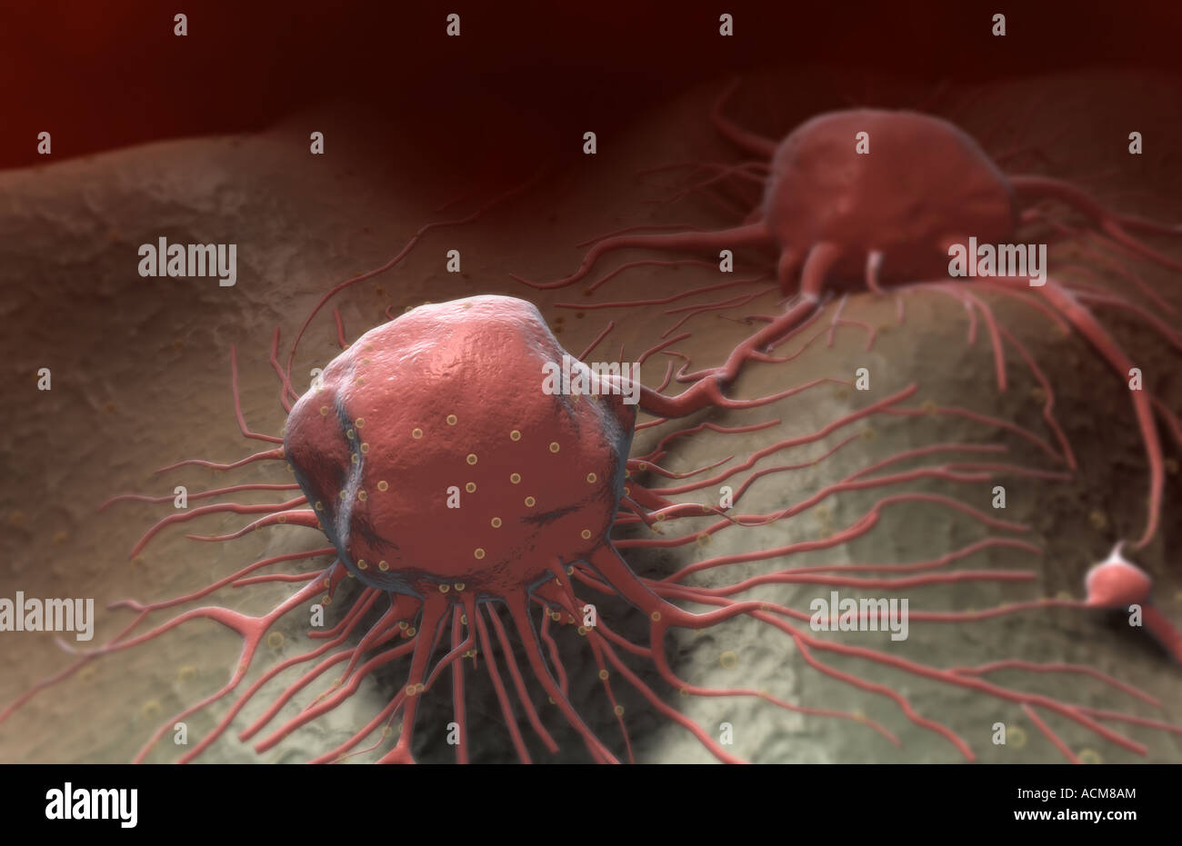 Tumour cells hi-res stock photography and images - Alamy