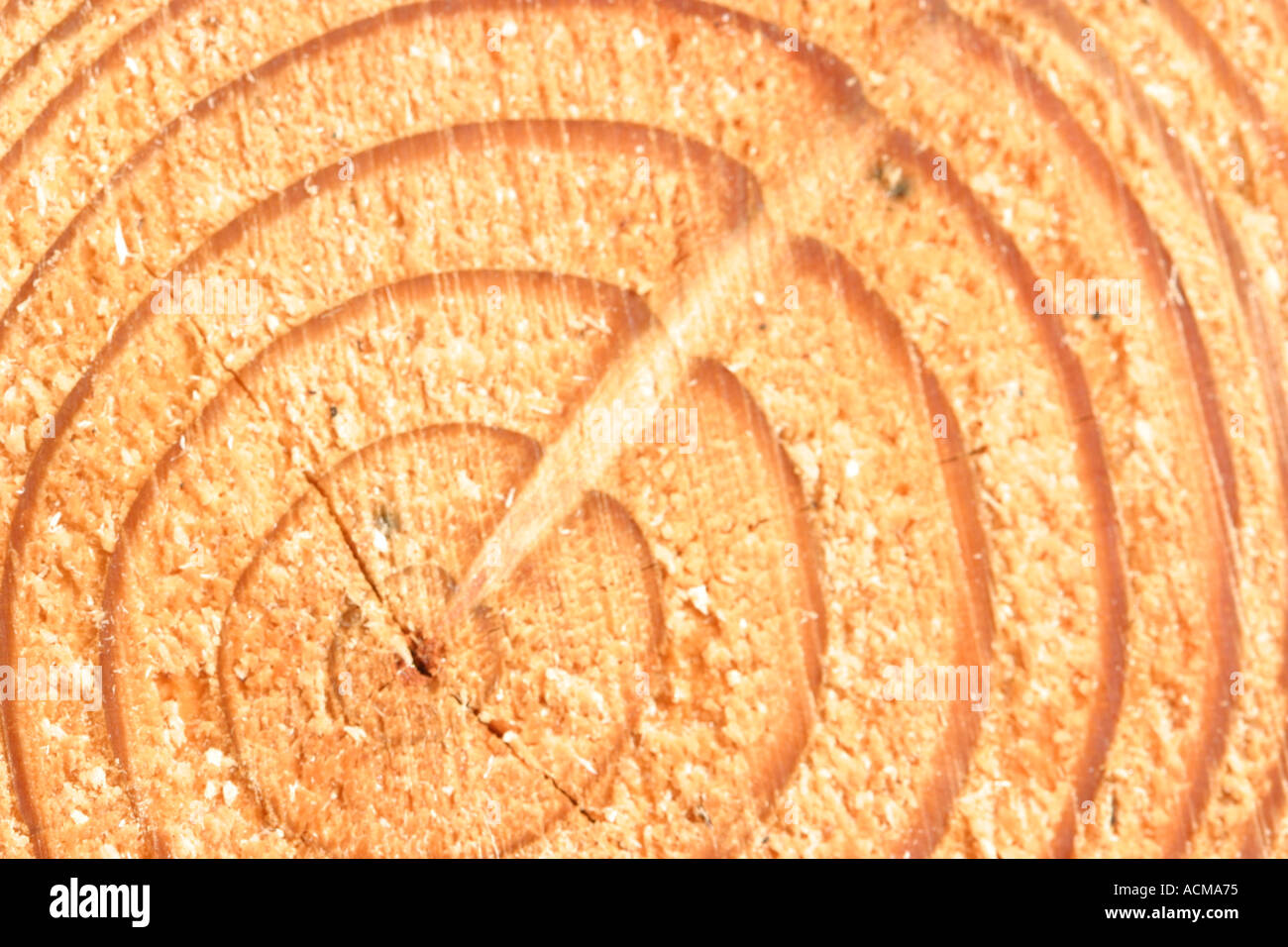 Tree rings annual hi-res stock photography and images - Alamy